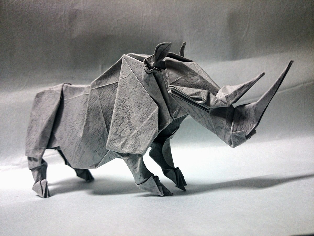 Rhino by Satoshi Kamiya