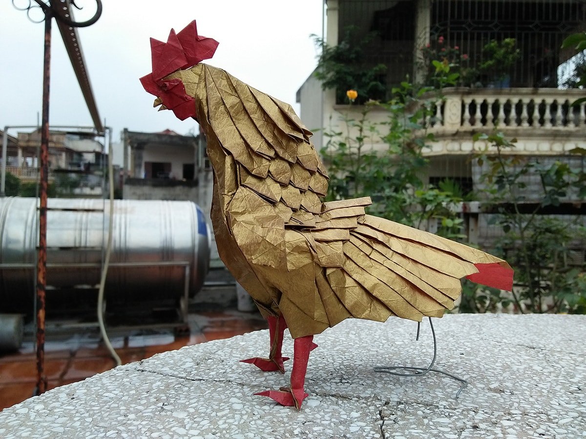 Rooster by Giang Nam