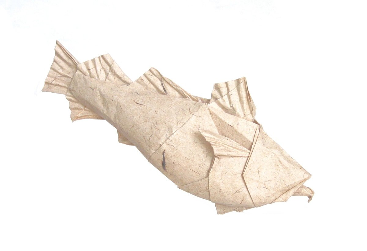 Atlantic Cod, Designed by Winston