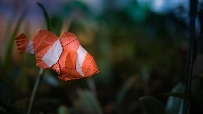 Best Origami Fish of 2018