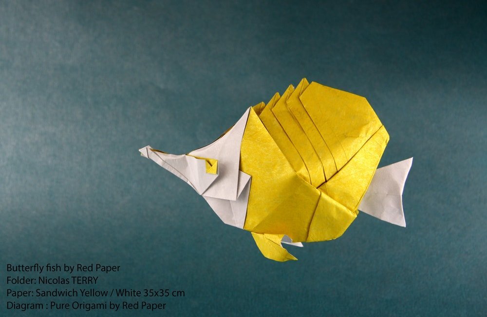 Butterfly fish by Red Paper