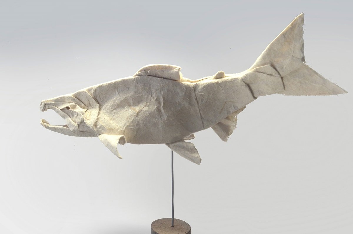 Chum Salmon by Kei Watanabe