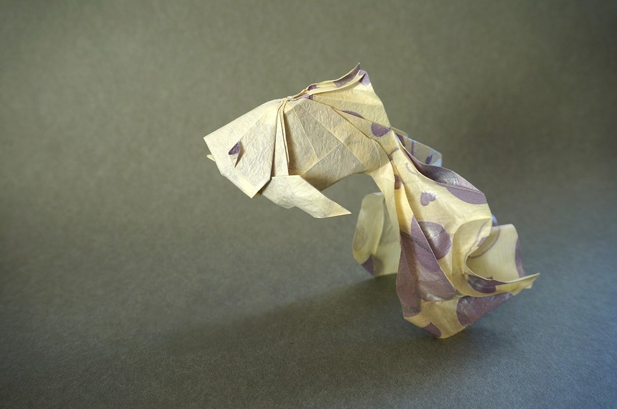 Goldfish by Ta Trung Dong