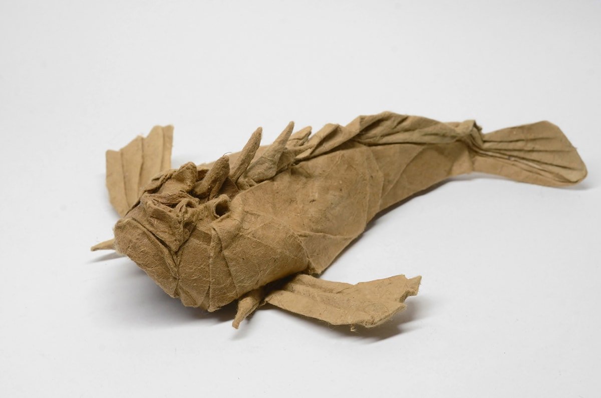 Inimicus Japonicus by Kei Watanabe