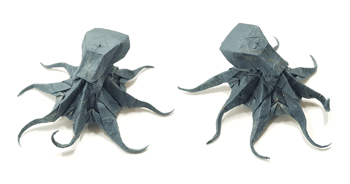 Octopus by Satoshi Kamiya