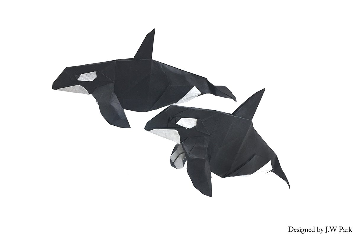 Orcas by J.W. Park
