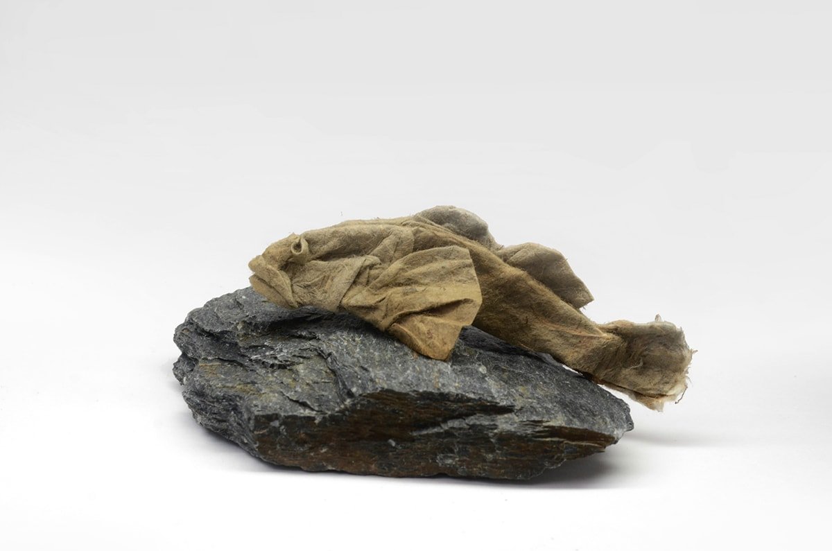 Japanese fluvial sculpin by Kei Watanabe