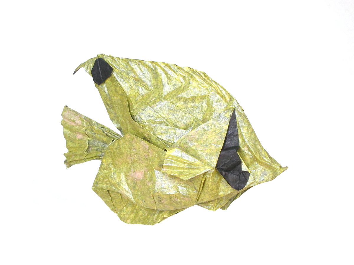 Threadfin Butterflyfish by Winston