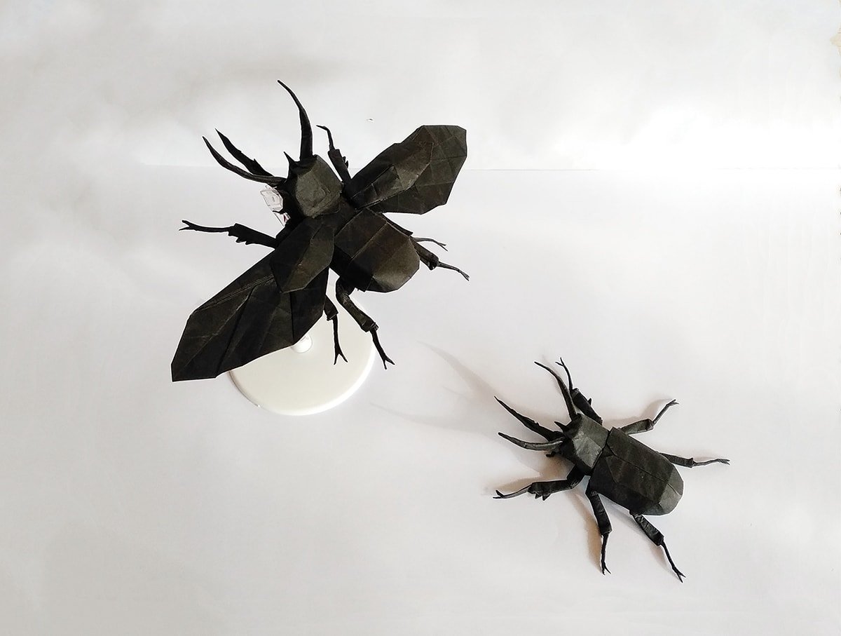 Walking and flying beetle