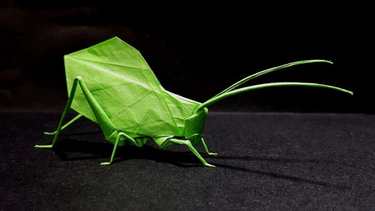 Best origami insects of 2018