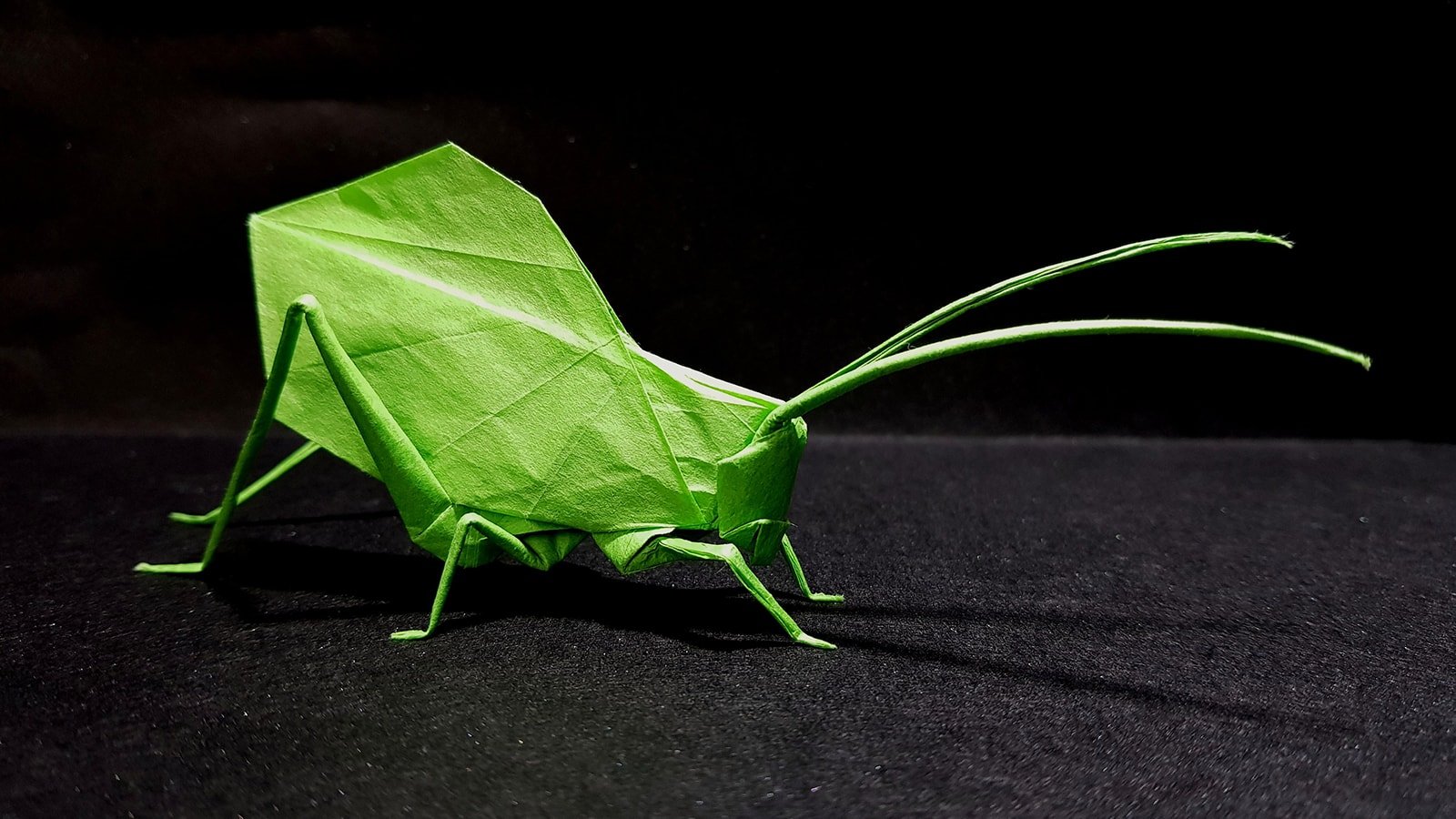 Best origami insects of 2018