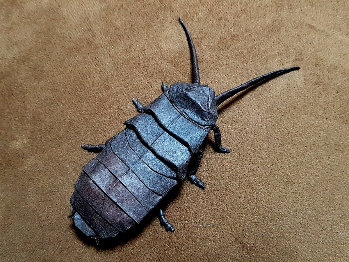 Cockroach by Brian Chan