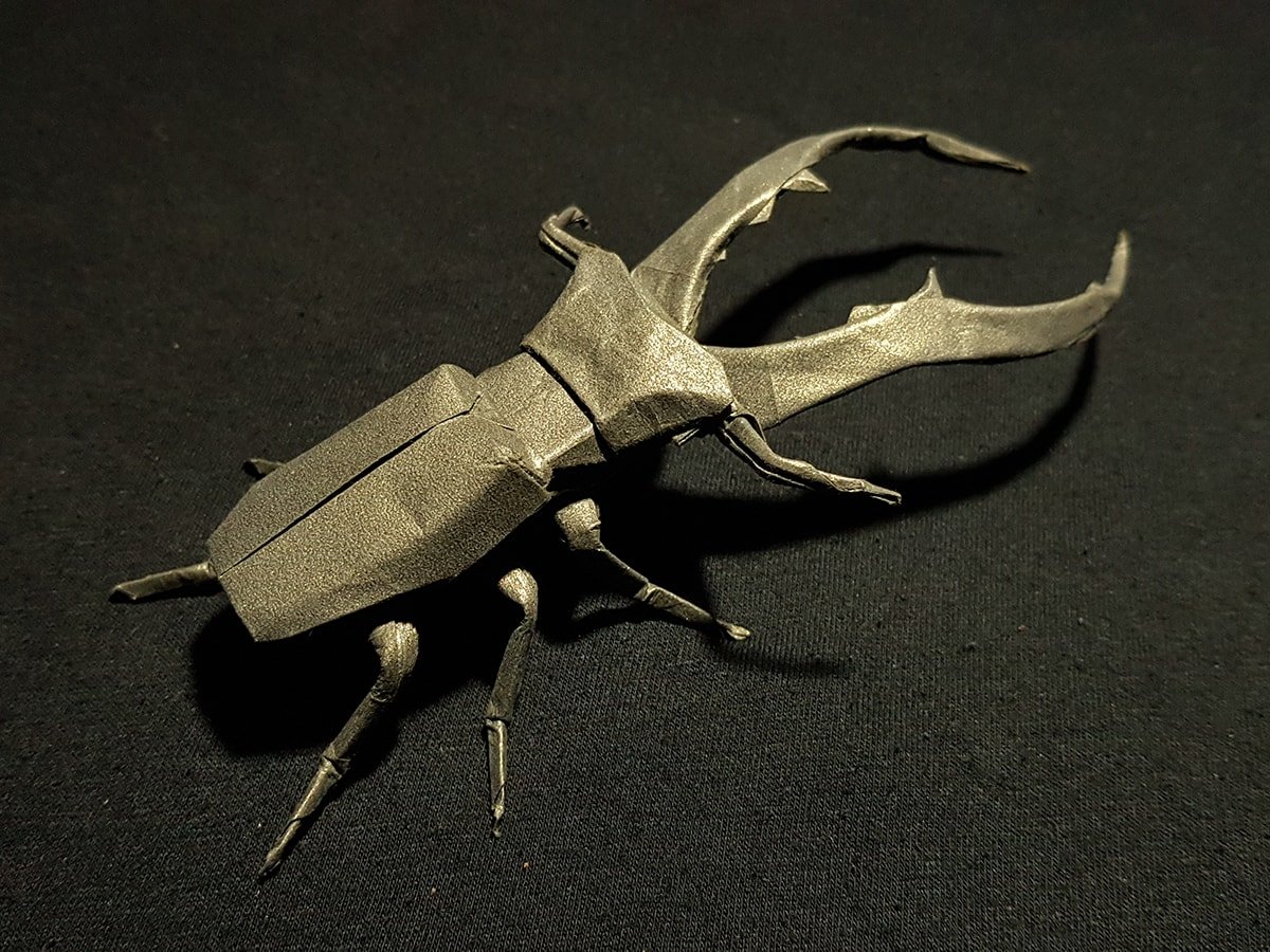 Cyclommatus metallifer by Satoshi Kamiya