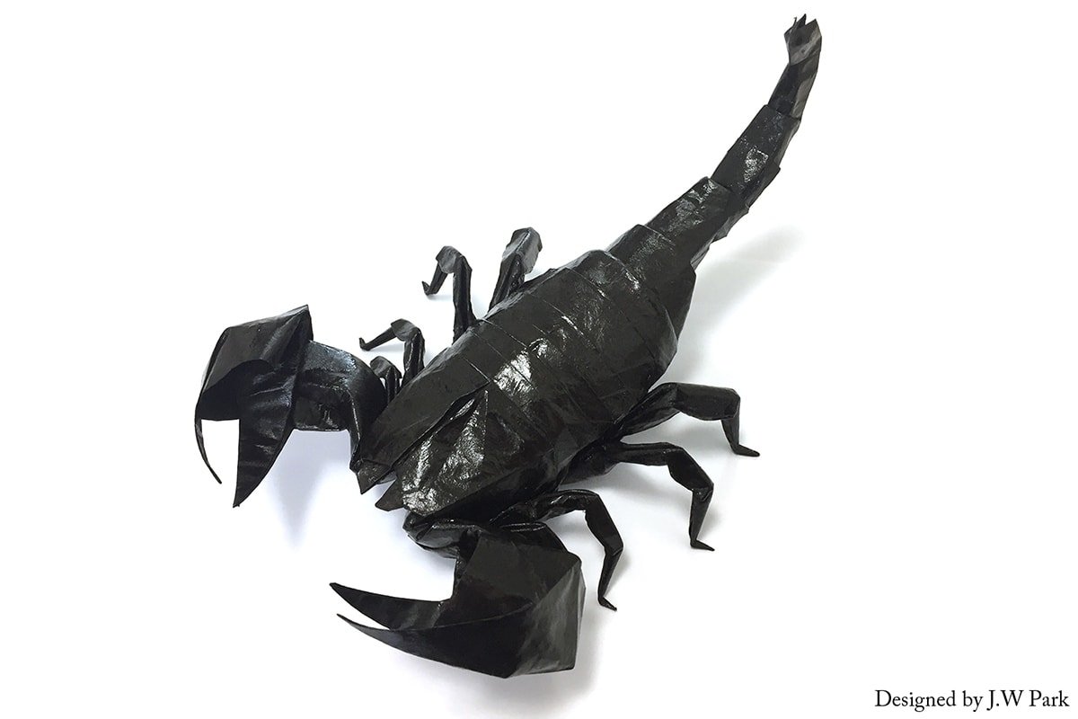 Emperor Scorpion by J.W. Park