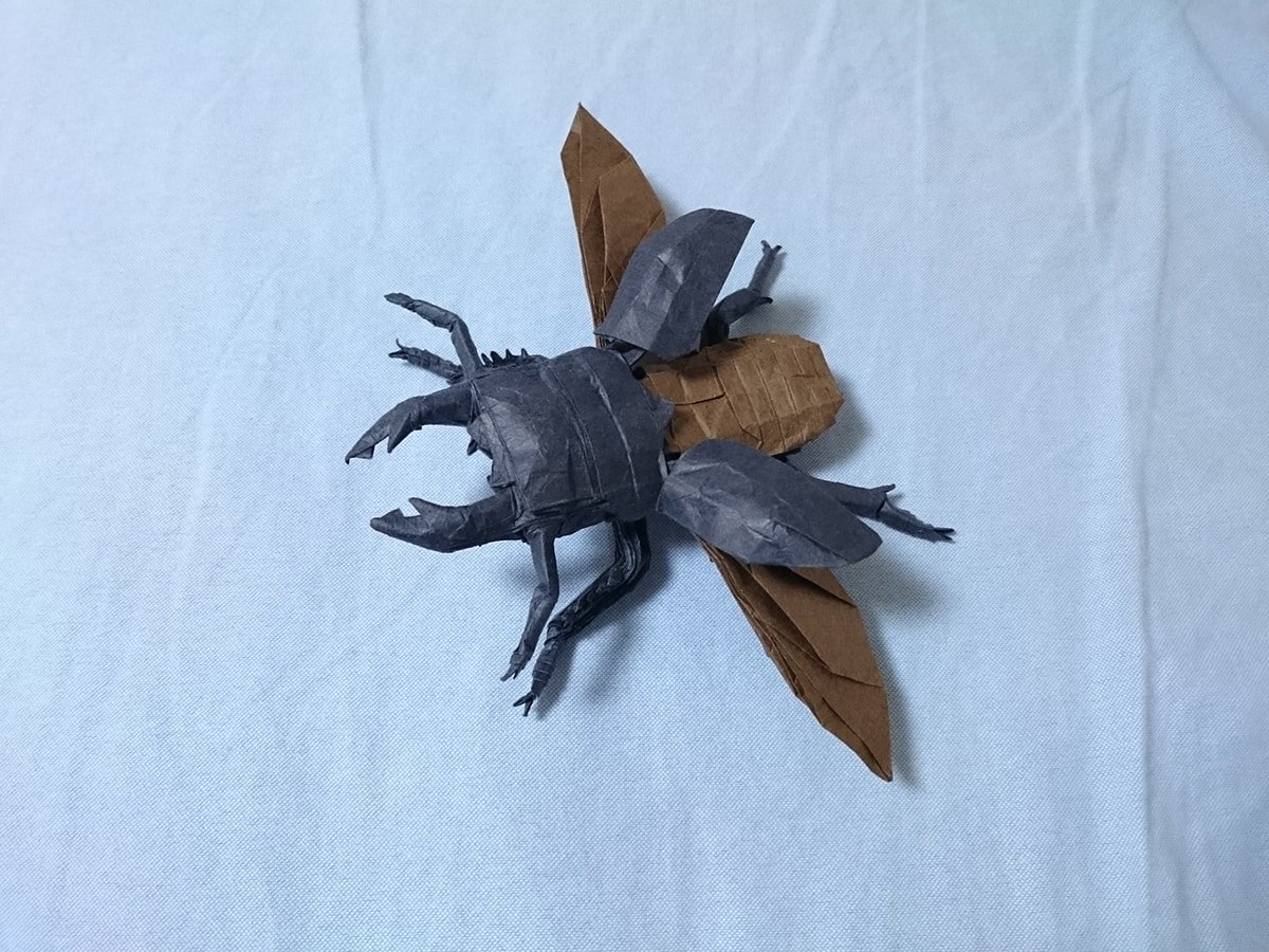 Flying Beetle by Kota Imai