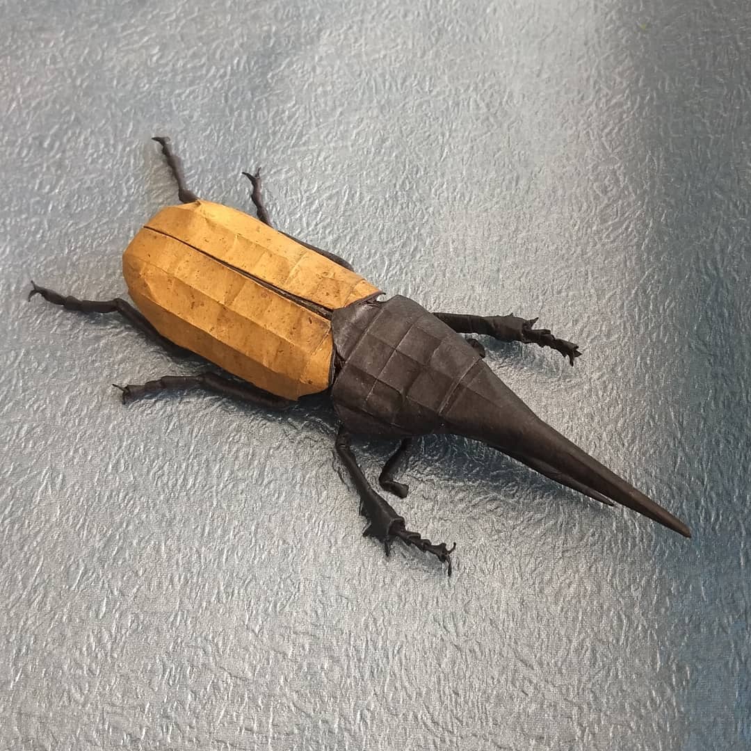 Hercules Beetle