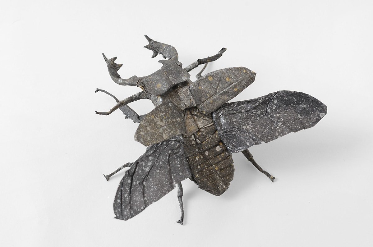 Stag Beetle by Kei Watanabe