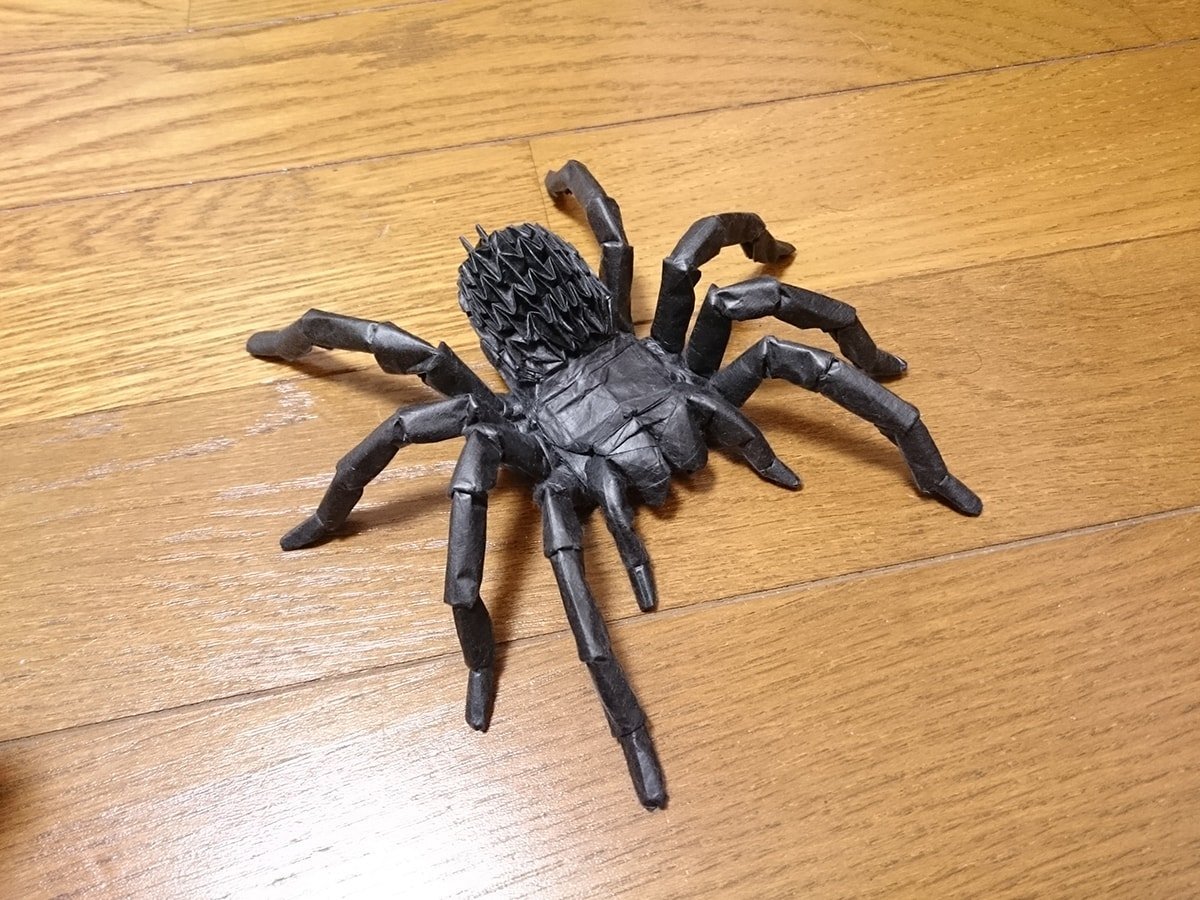 Tarantula by Kota Imai