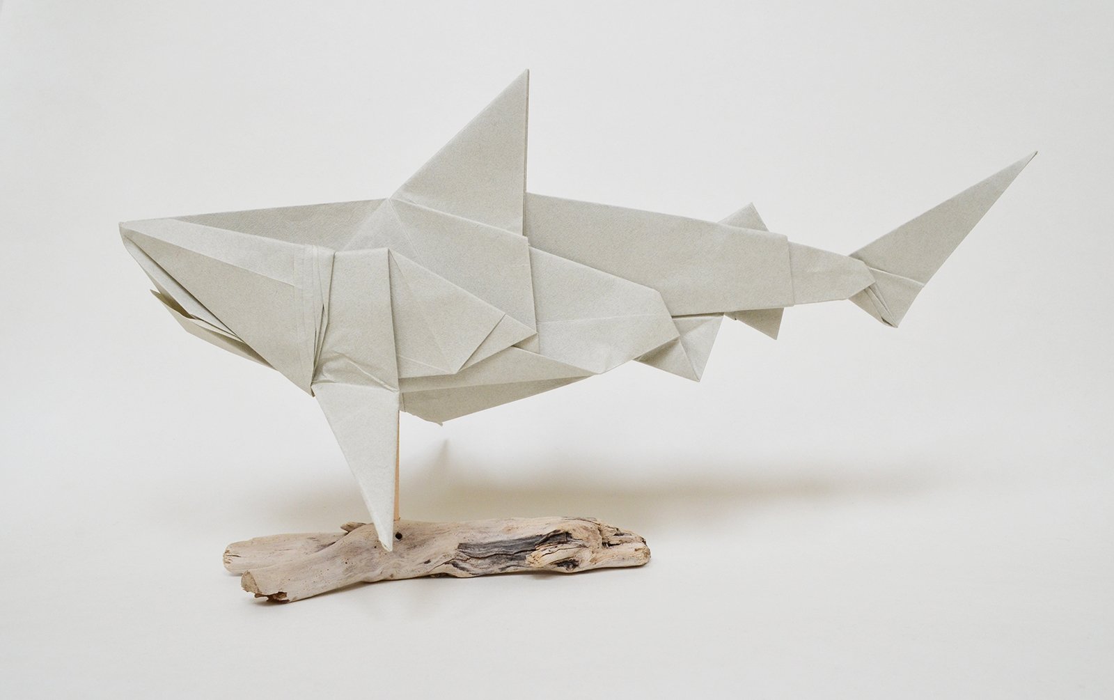 Origami bull shark