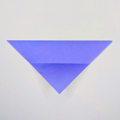 Origami Fish Paper Fold Step 2