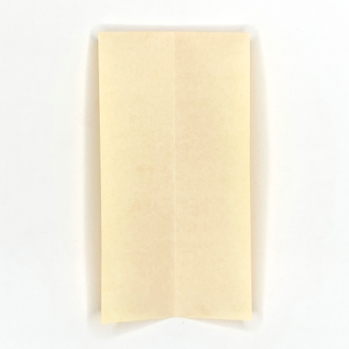 origami shirt paper fold step 2