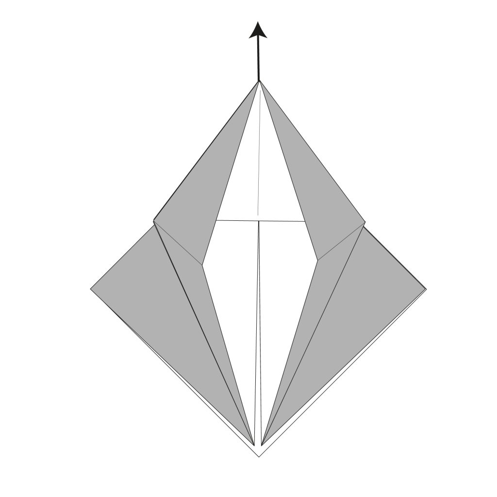 origami dragonfly diagram step 5.2