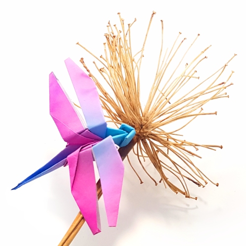 origami dragonfly