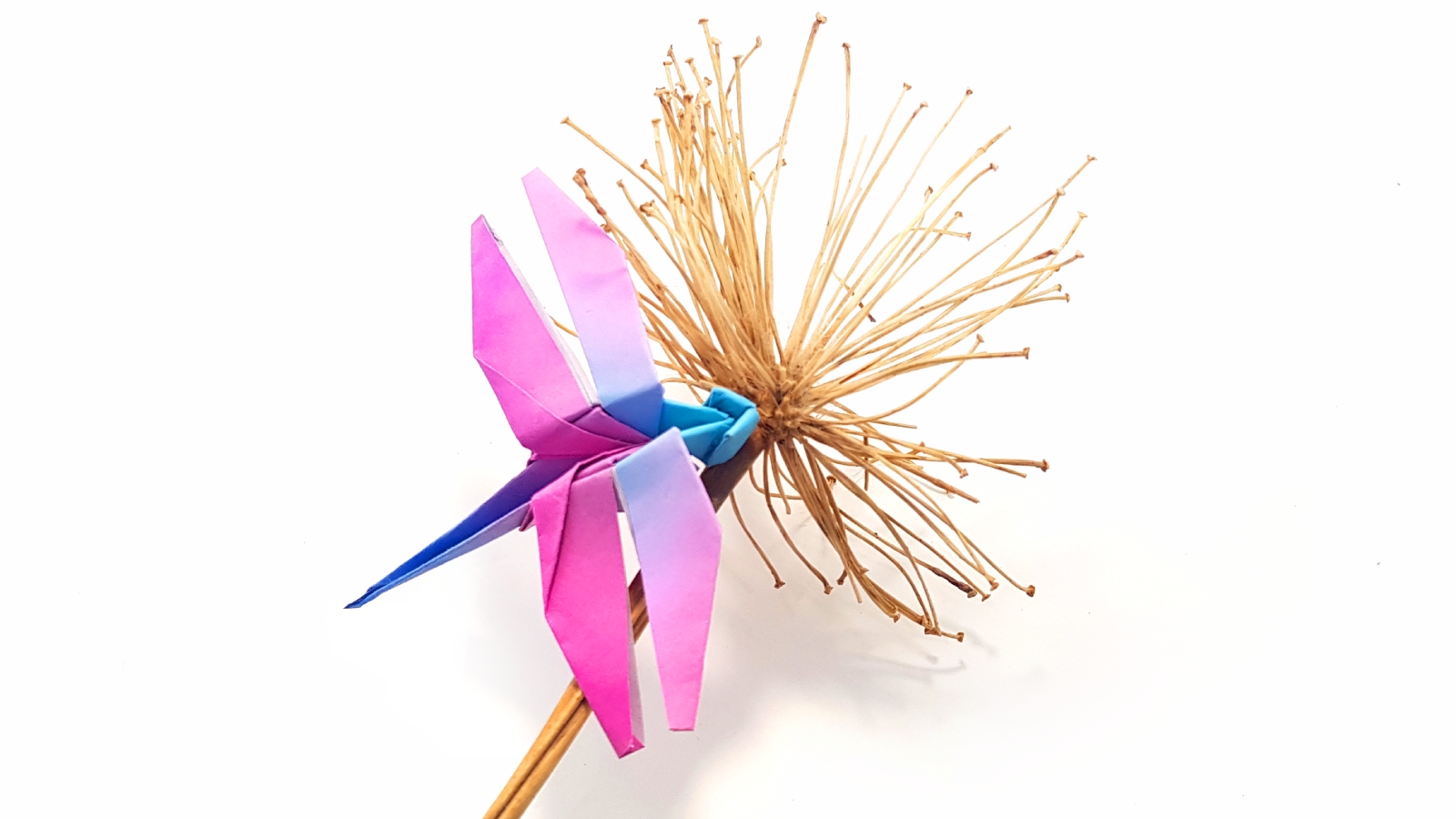 traditional origami dragonfly