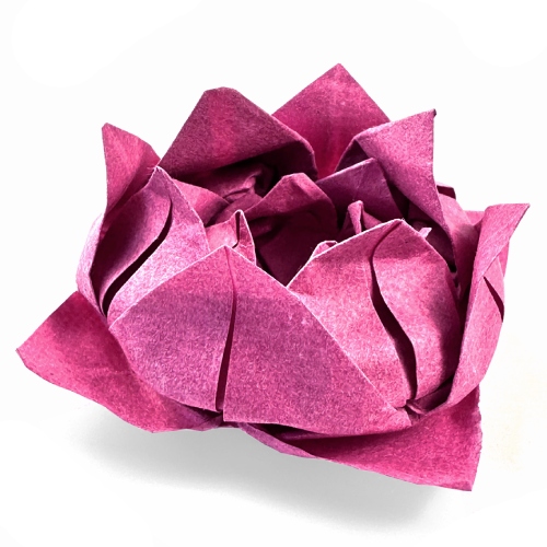 easy origami lotus