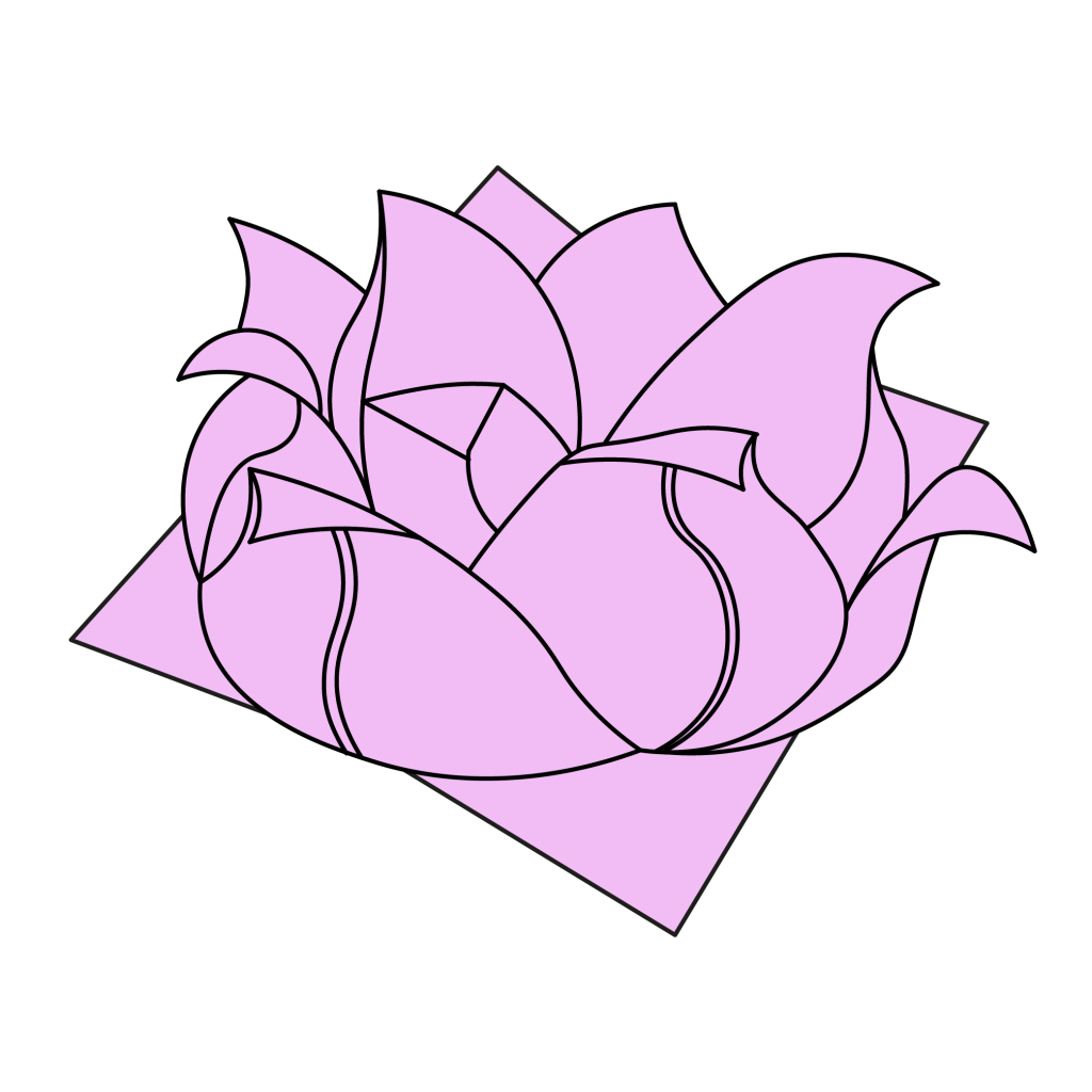 origami lotus diagram completed