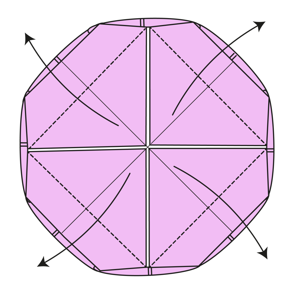 origami lotus diagram step 14