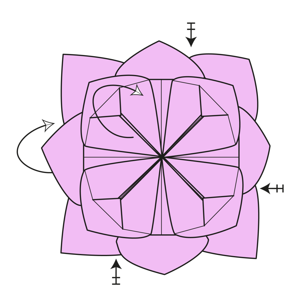 origami lotus diagram step 16