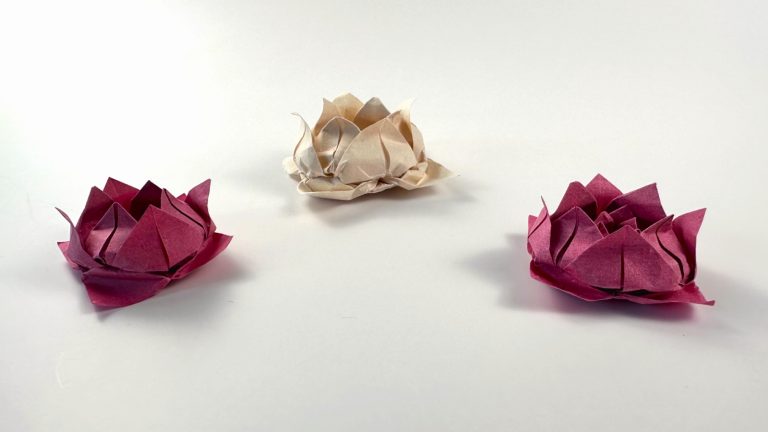 origami lotus flowers